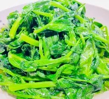 Pea Shoots
