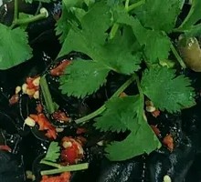 Szechuan Pepper Wood Ear Salad