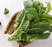 Bamboo Shoot Tips
