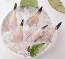 Snakehead Fish