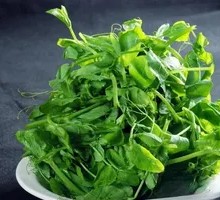 Pea Shoots