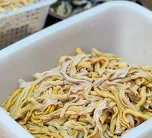 鸡肠