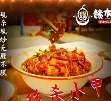 Secret-Recipe Softshell Turtle Cub