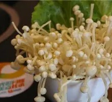 Enoki Mushroom