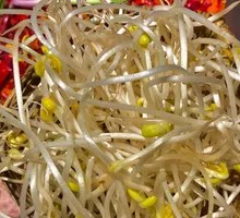 Bean Sprouts