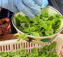 Air-Freighted Pea Shoots