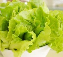 Lettuce