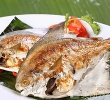 Spanish Mackerel
