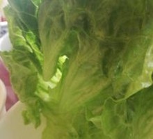 Lettuce