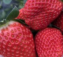 Big Strawberry