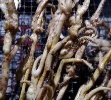 Squid Tentacles