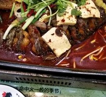 Grilled Fish