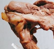 Five-Spice Duck Frame