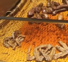 Duck Wings