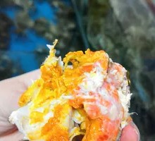 2.8 Liang Female Crab
