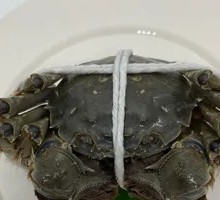 Male Soft-Shelled Crab