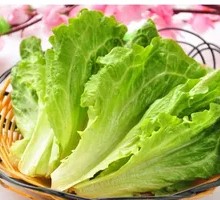 Lettuce