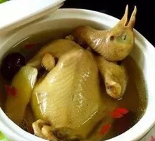 American Ginseng and Dendrobium Pigeon Soup