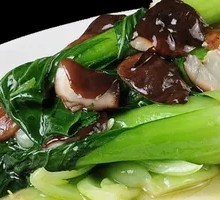 Mushroom and Bok Choy Noodles