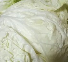 Napa cabbage