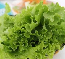 Lettuce