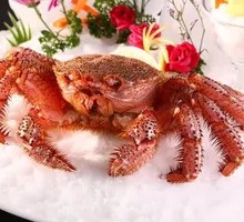 Nagasaki Red Crab