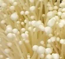 Enoki Mushroom