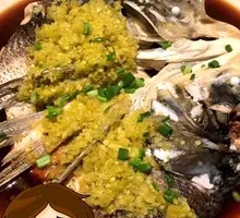 Fish Head Temptation