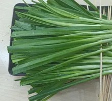 Leek