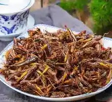 Roasted Locusts
