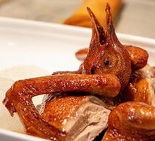 Butterfly Special Pigeon