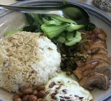 Roast Duck Rice