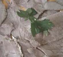 Small Butterfly Beef