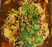 Freshly Killed Grass Carp