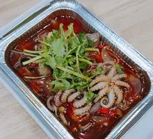 Octopus in Tin Box