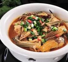 The Allure of Fish Head