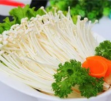 Enoki Mushroom