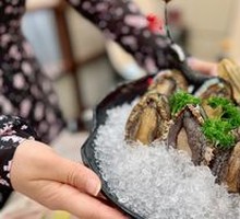 Live Abalone from Dalian