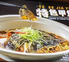 Special Softshell Turtle Dish