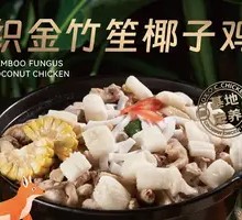 Bamboo Sponge Coconut Chicken