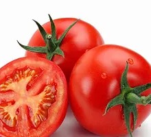 Fresh Tomato