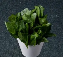 Spinach Hot Pot Noodles