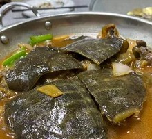 Braised Softshell Turtle