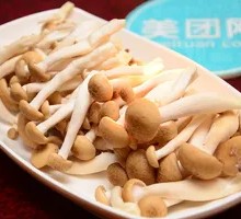 King Oyster Mushroom