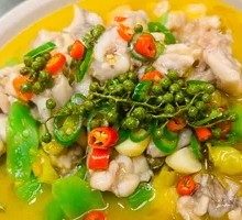 Green Pepper Frog