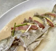 White Perch