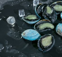 New Zealand Abalone