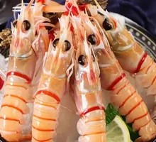 New Zealand Lobster
