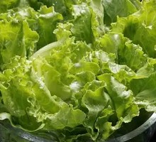Lettuce