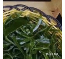 Kelp